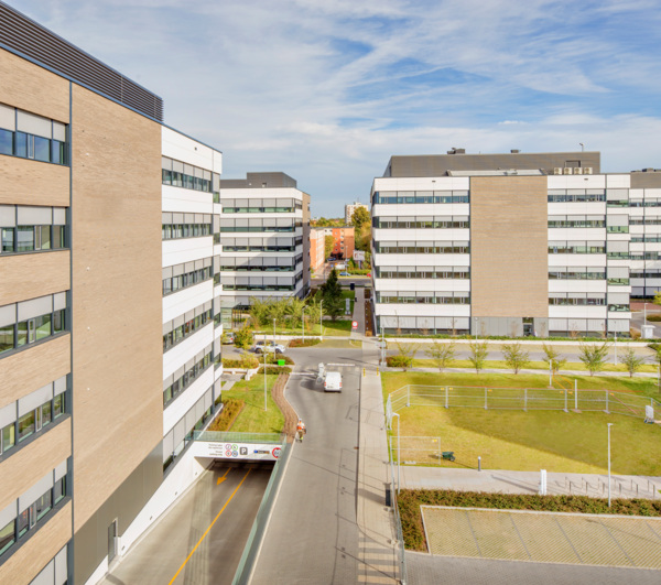 BUSINESS GARDEN